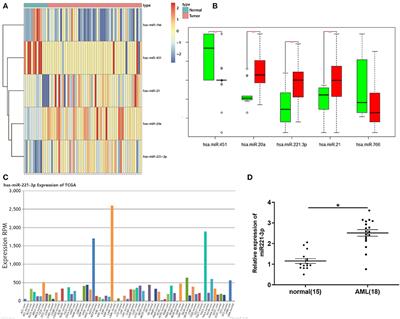 miR-221-3p Delivered by BMMSC-Derived Microvesicles Promotes the Development of Acute Myelocytic Leukemia